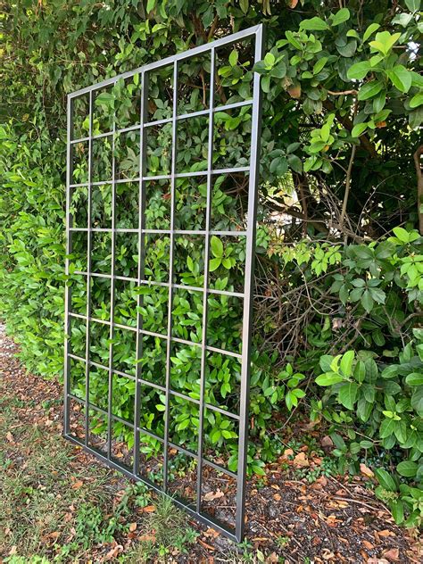 Trellis Support .